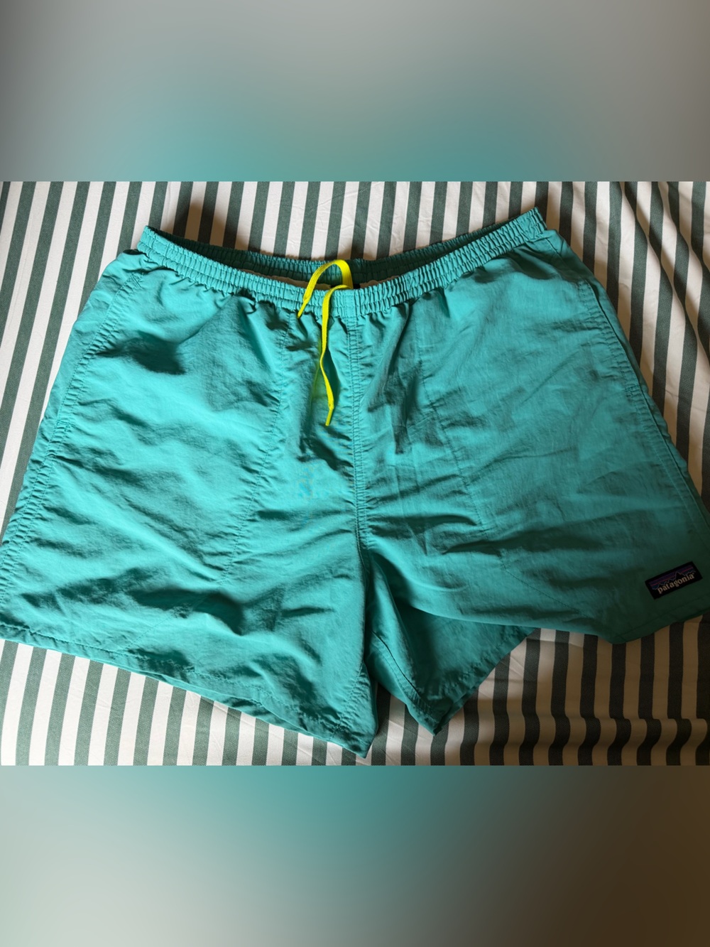 Patagonia Turquoise Men’s Elastic-Waist Shorts with Drawstring